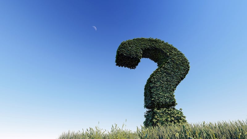 Ask gardening questions