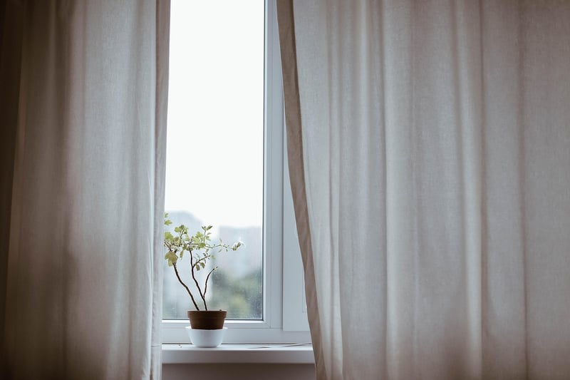 Indoor greenery options